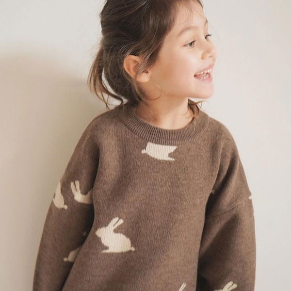 Cute Intarsia Knit Crew Neck Long Sleeve Kids Pullover Sweater