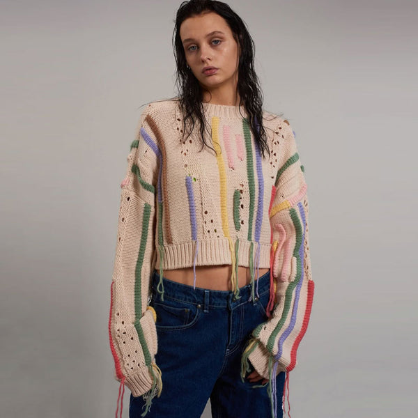 Colorful Fringe Trim Crew Neck Drop Shoulder Distressed Knit Crop Sweater