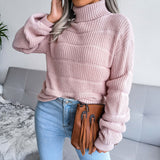 Textured Brioche Rib Knit Long Sleeve Pullover Turtleneck Sweater