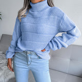 Textured Brioche Rib Knit Long Sleeve Pullover Turtleneck Sweater