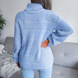 Textured Brioche Rib Knit Long Sleeve Pullover Turtleneck Sweater