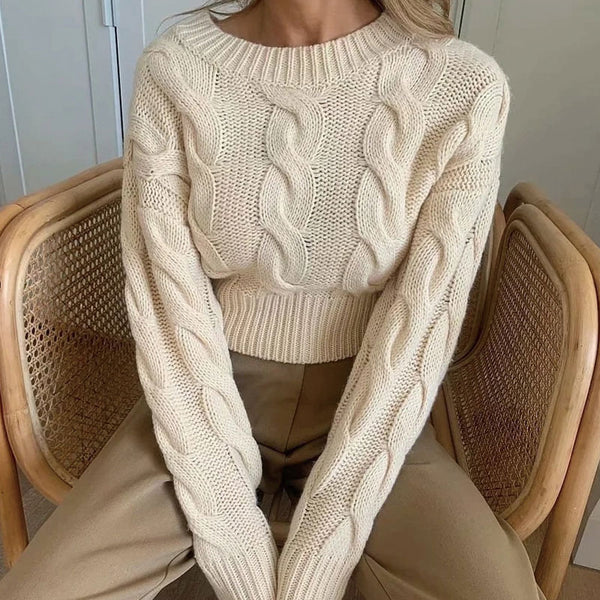 Vintage Beige Crew Neck Chunky Cable Knit Pullover Cropped Sweater